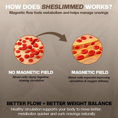 THE SHESLIMMED BRACELET